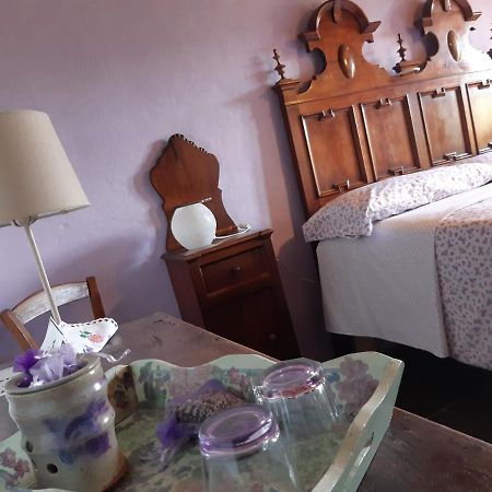 Ca' D'Alfieri Villa Bardi Bagian luar foto