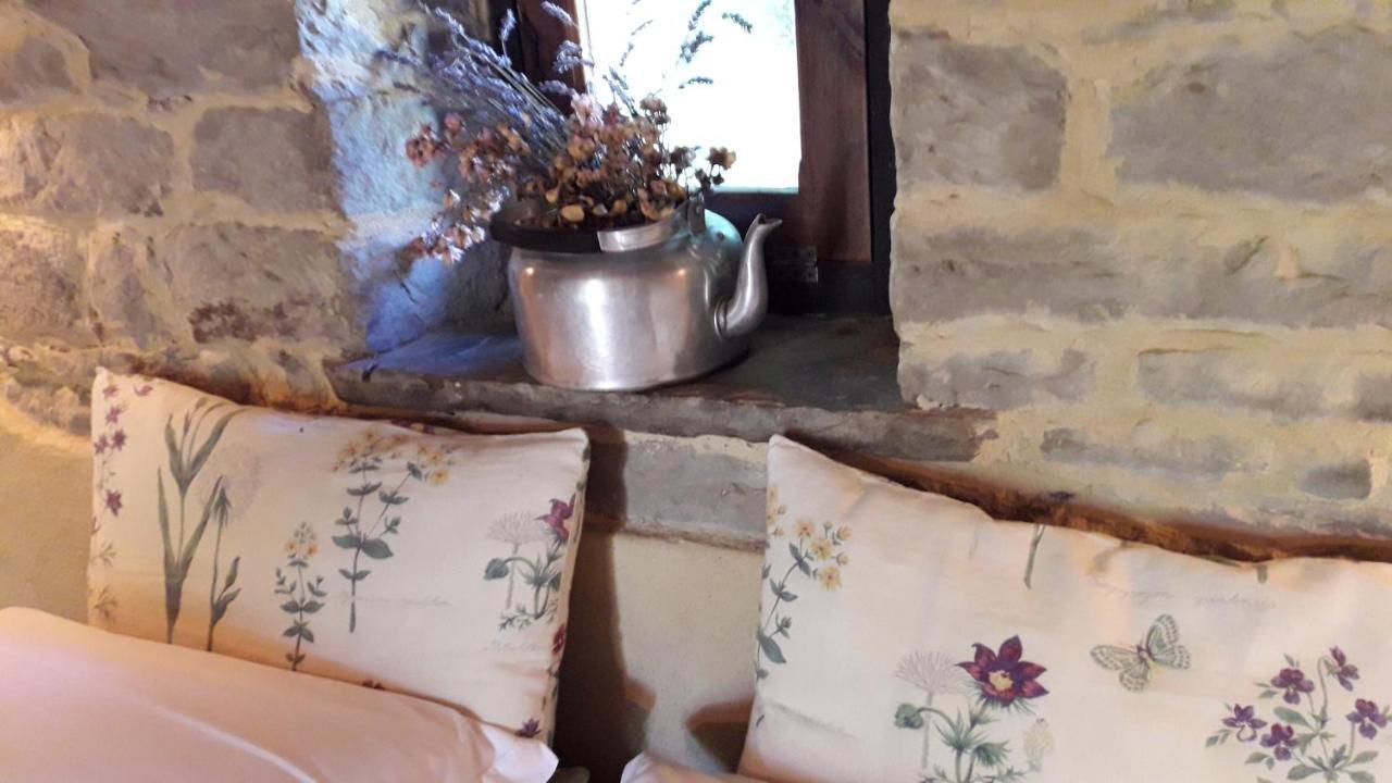 Ca' D'Alfieri Villa Bardi Bagian luar foto