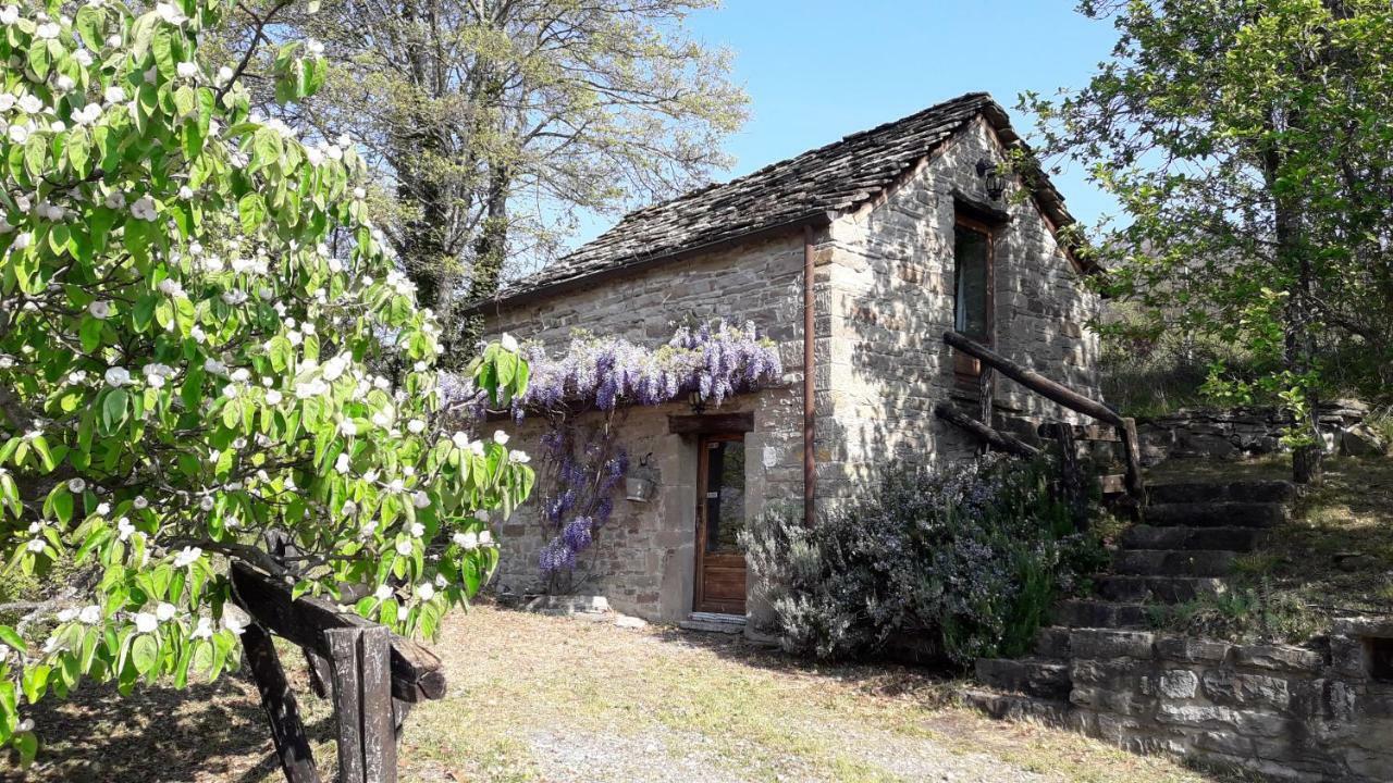 Ca' D'Alfieri Villa Bardi Bagian luar foto