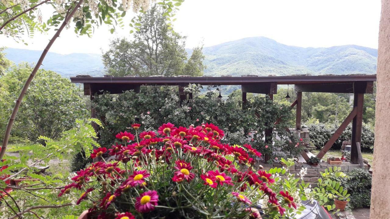 Ca' D'Alfieri Villa Bardi Bagian luar foto